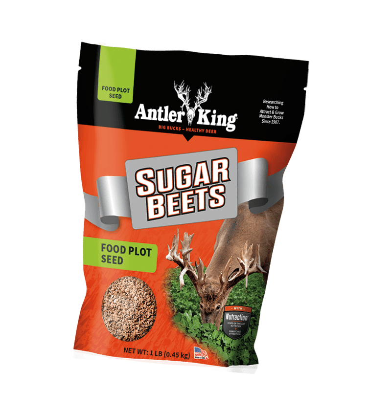 Antler King Sugar Beets 1 lb - AKSB1