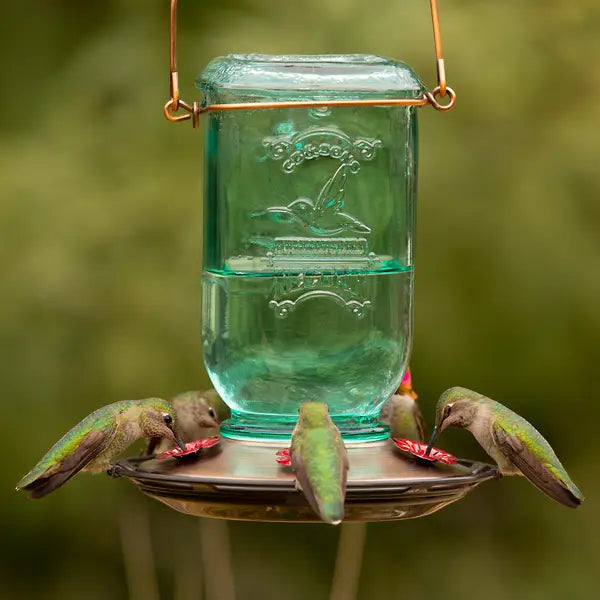 25oz Glass Mason Jar Hummingbird Feeder