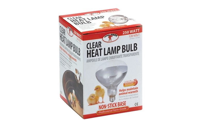 Clear Heat Lamp Bulb 250 W