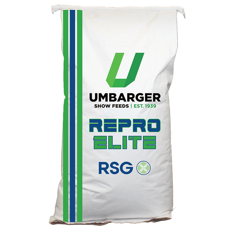 Dynamic 12% Goat & Sheep with RSG