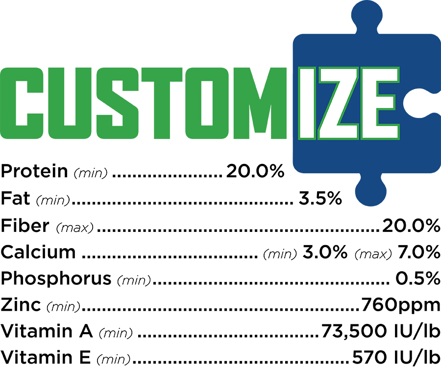 RSG Customize