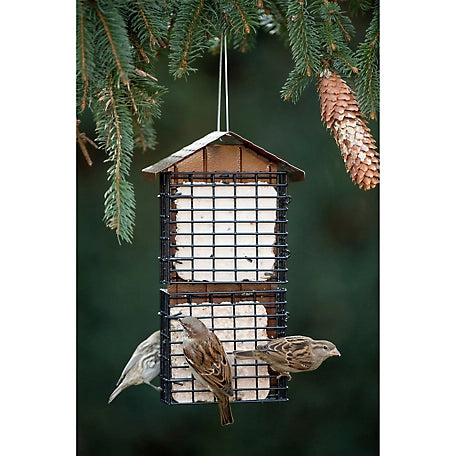 4 Cake Suet Buffet Feeder