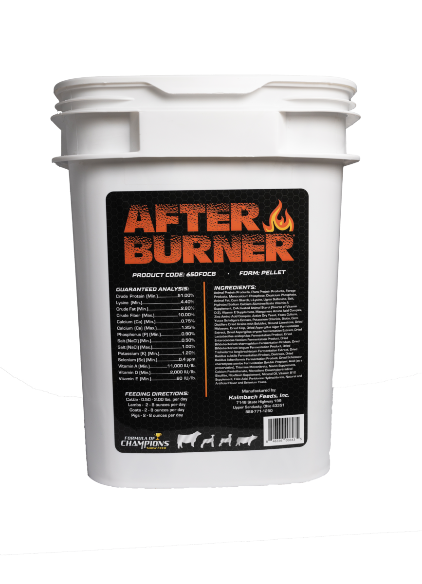 Afterburner® - 650FOCB