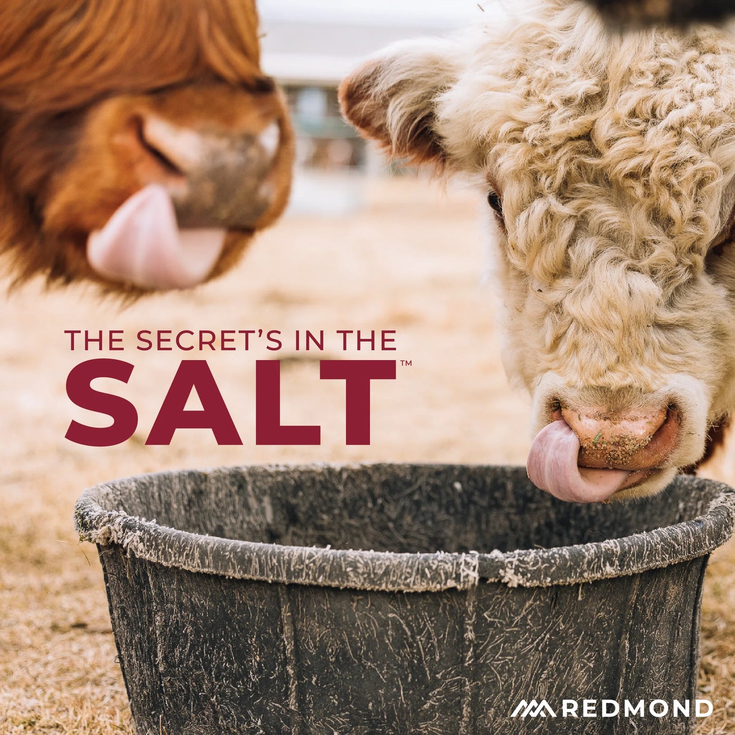 Redmond Beef Mineral Mix 50lb