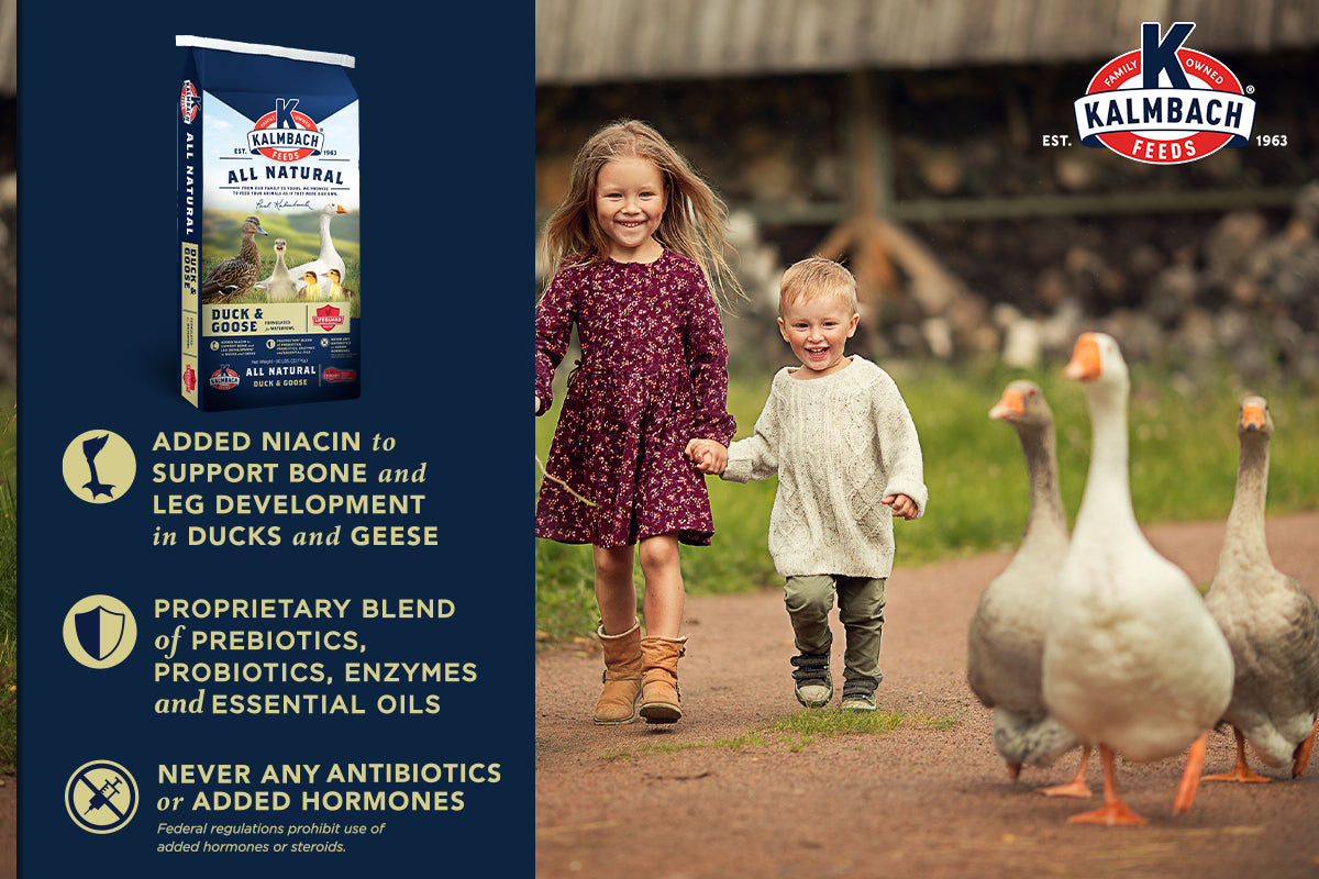 Duck, Goose & Swan Feed - 700DG