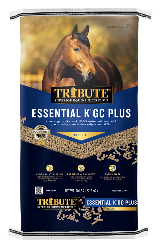 Essential K® GC Plus - 928EKGC