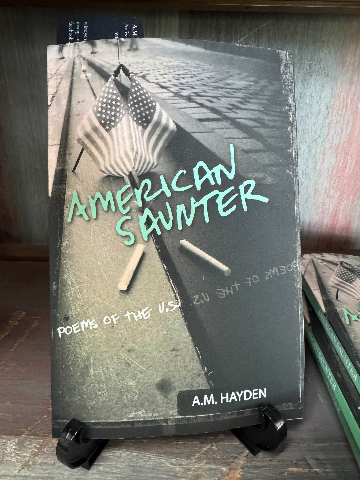 American Saunter Poems of the US by A.M. Hayden
