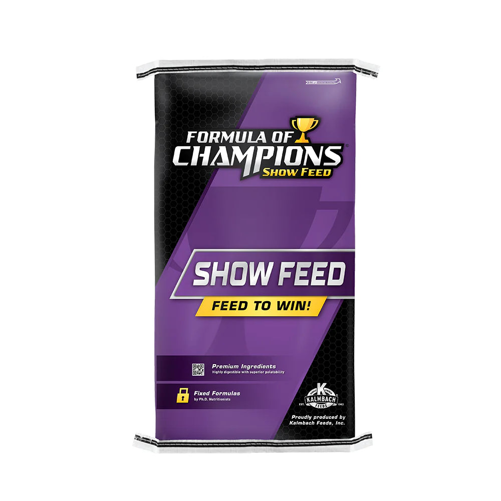 Futurity 40 - 340FOC