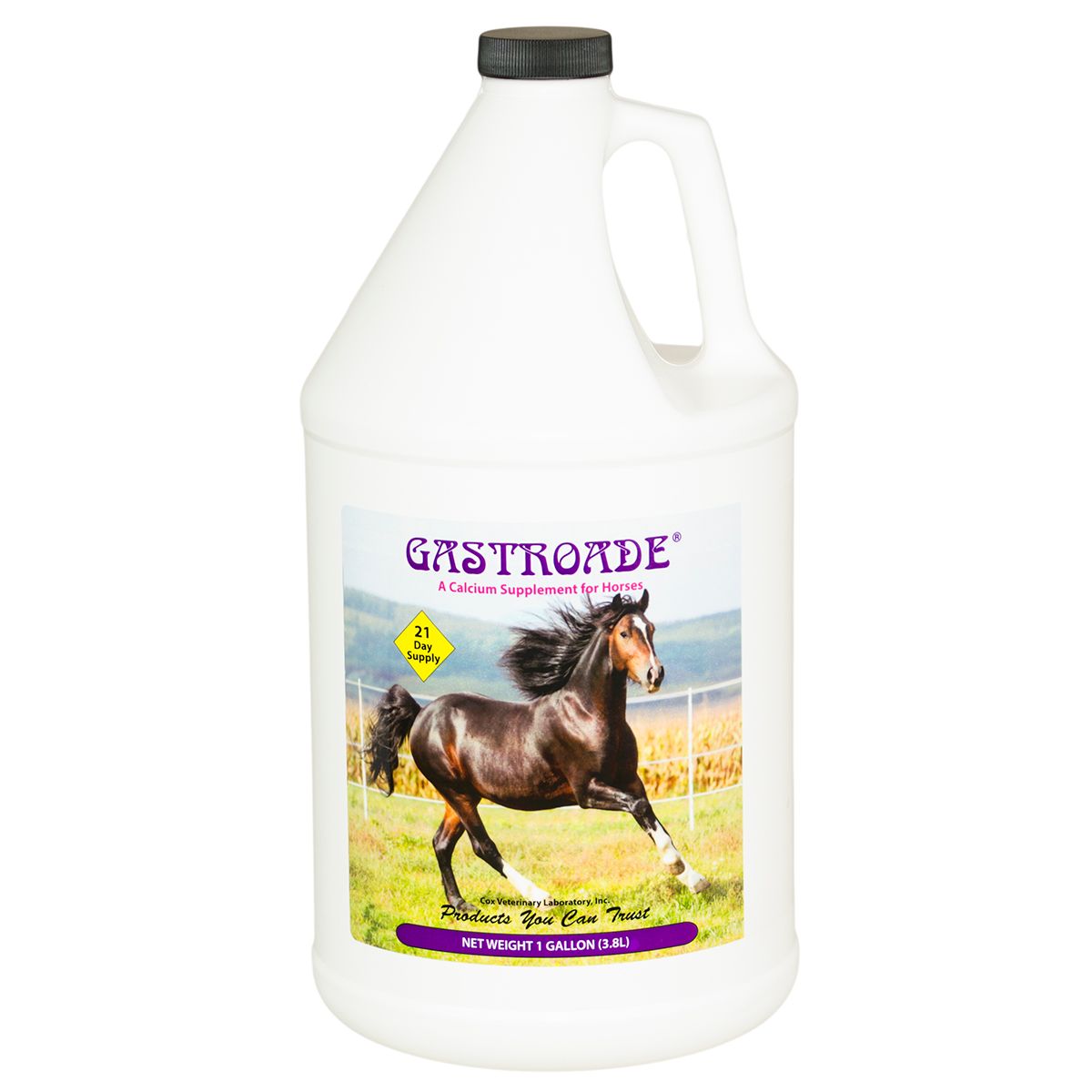 Gastroade Calcium Supplement for Horses