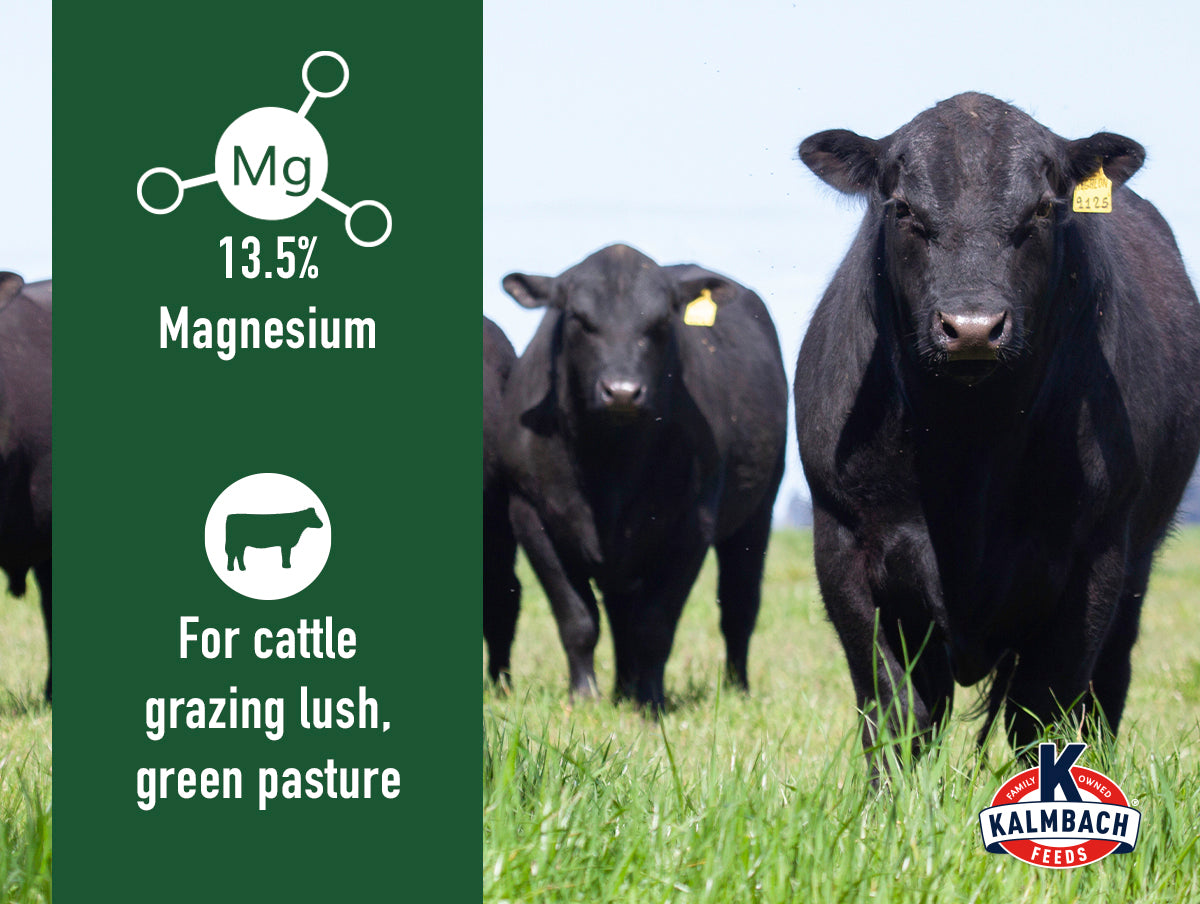 High Mag Block for Cattle