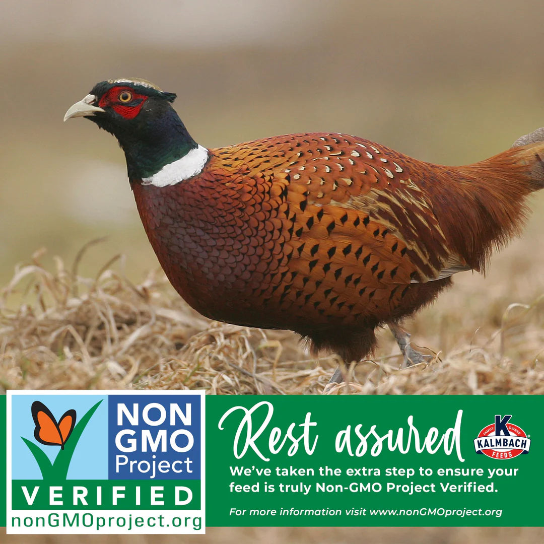 Non-GMO 28% Start Right™ Turkey & Gamebird - N450C