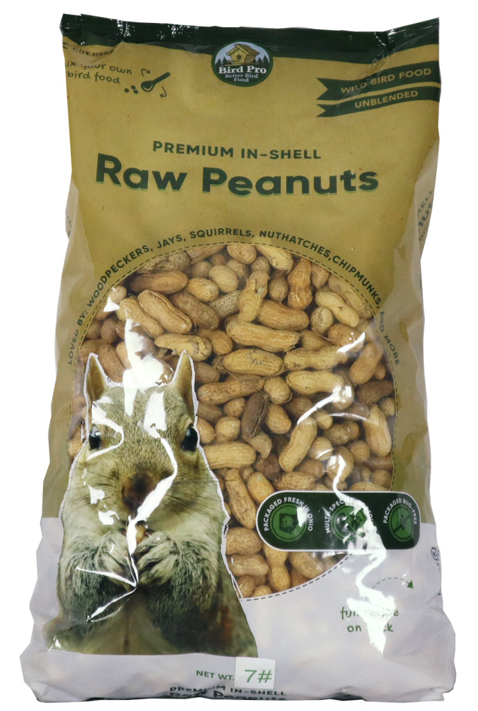 Premium In Shell Raw Peanuts
