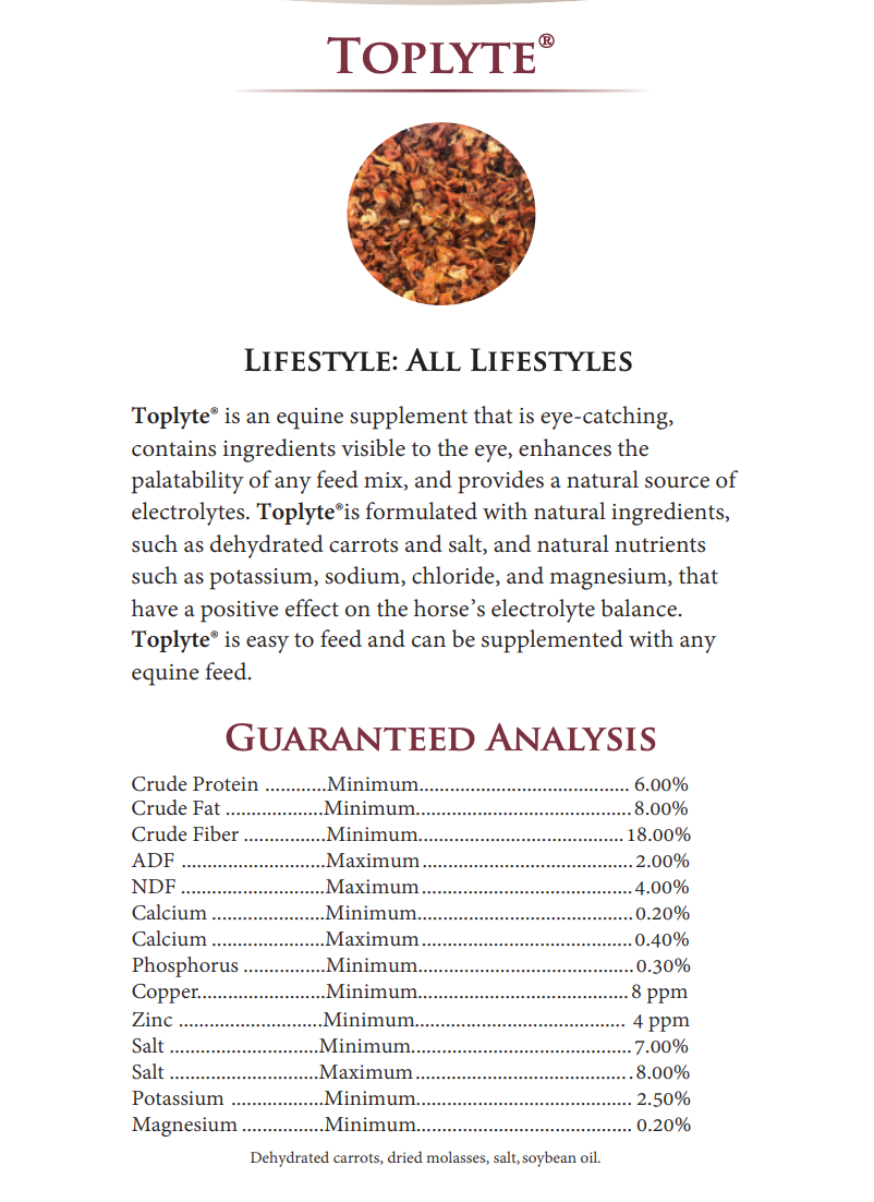 Excel Equine Toplyte