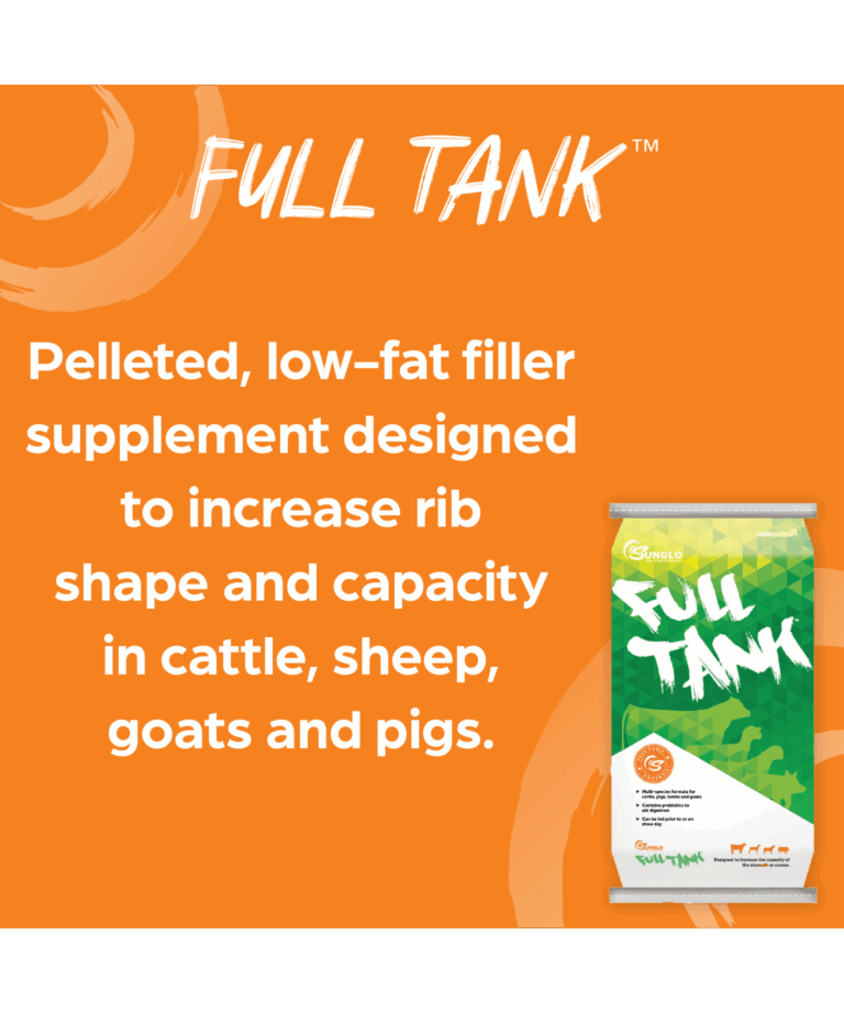 Sunglo Full Tank
