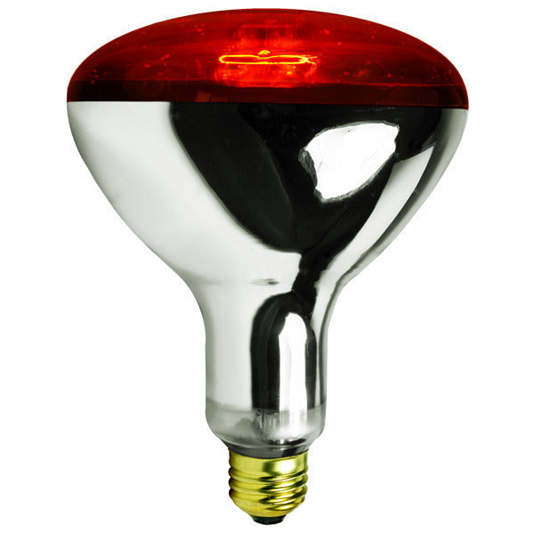 Red Heat Lamp Bulb 250W