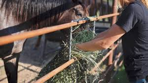 Hay Chix Panel Feeder
