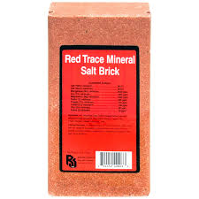 Trace Mineral Block