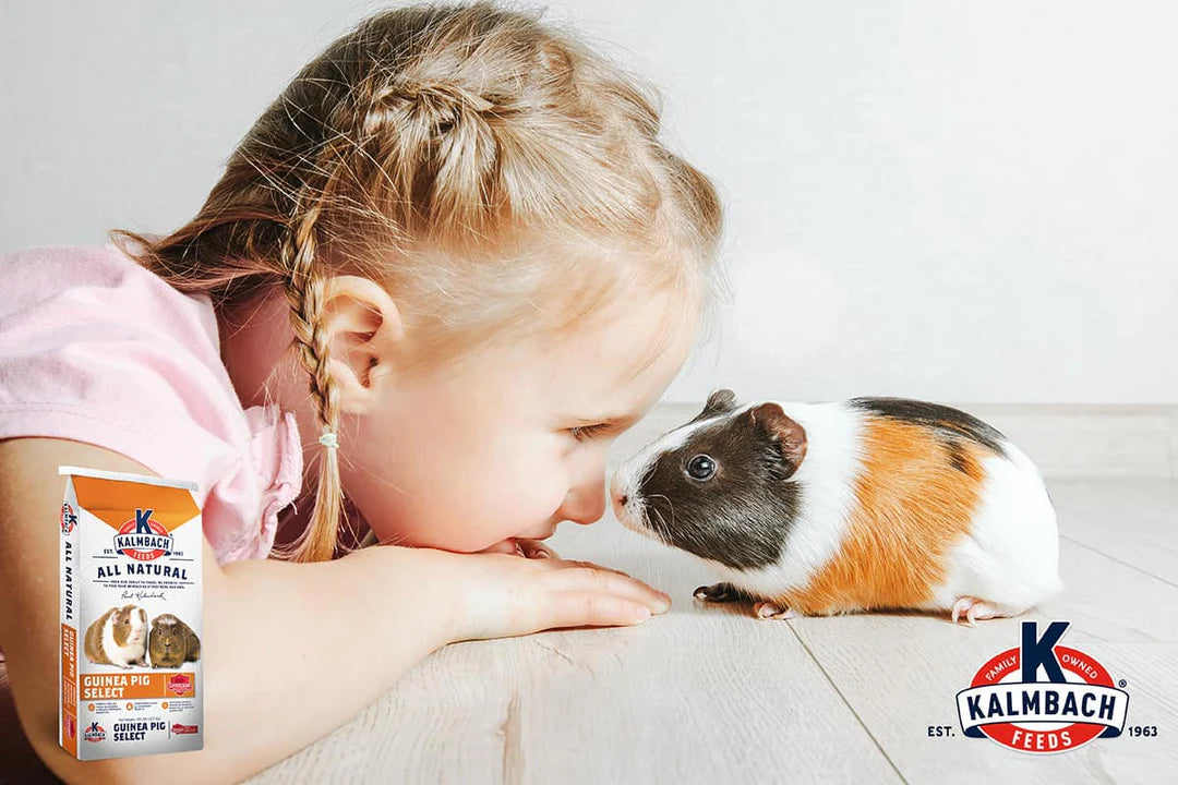Guinea Pig Select