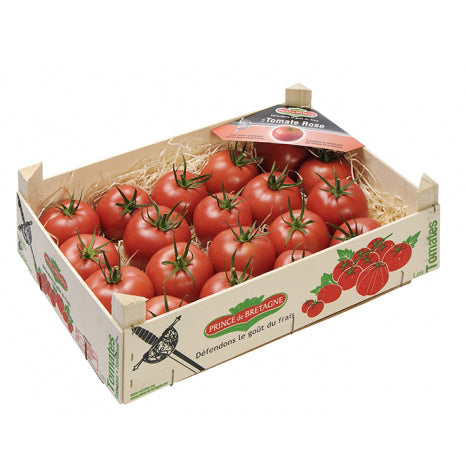 Large Red Slicer Tomatoes