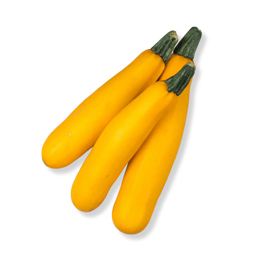 Green or Yellow Zucchini
