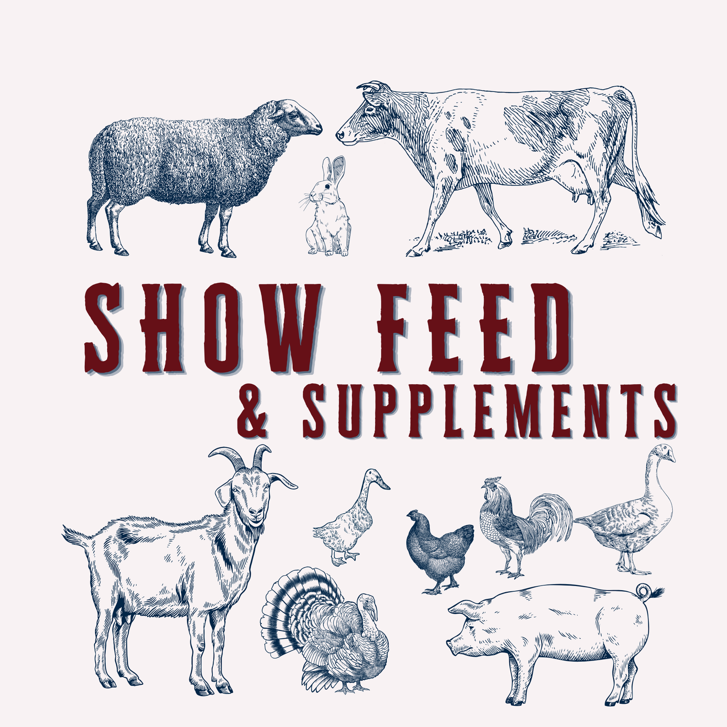 Show Feed & Supplements