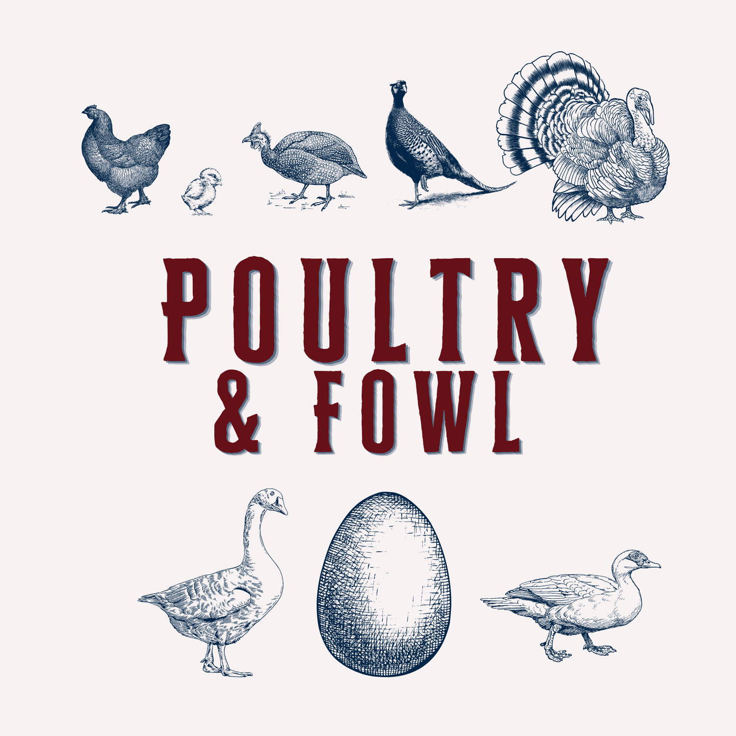 Poultry & Fowl