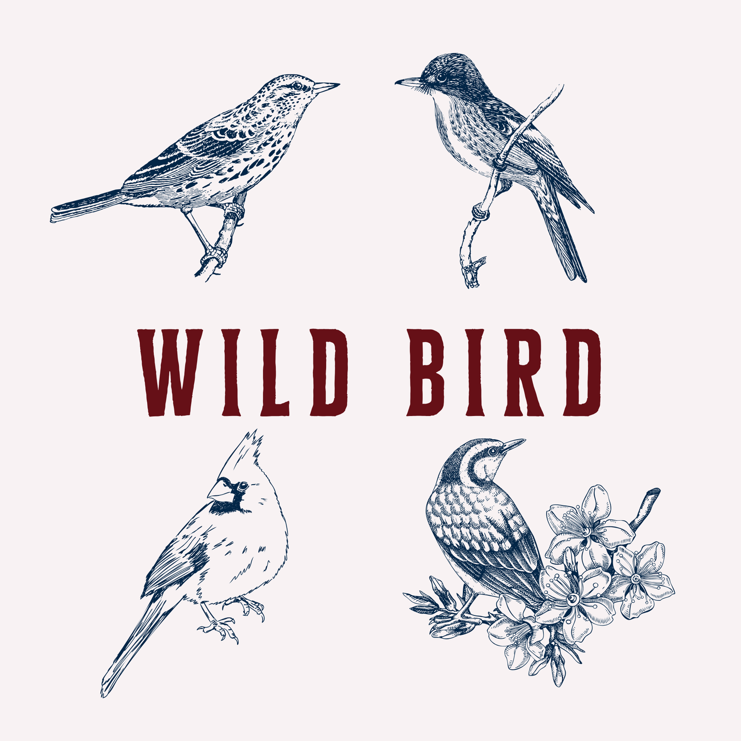 Wild Bird