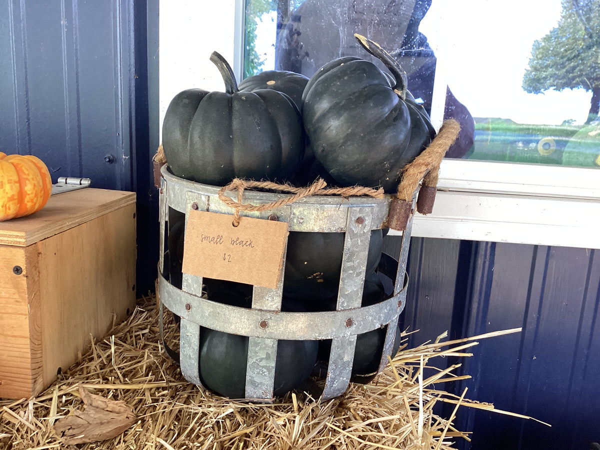 Pumpkins