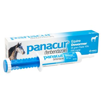 Panacur Paste Dewormer, 25g