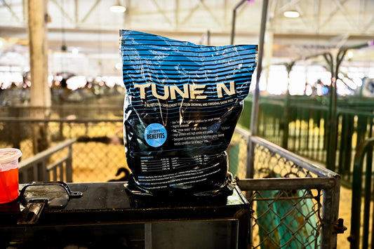 Tune N - 7.5lb