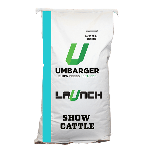 Launch with Synurgy