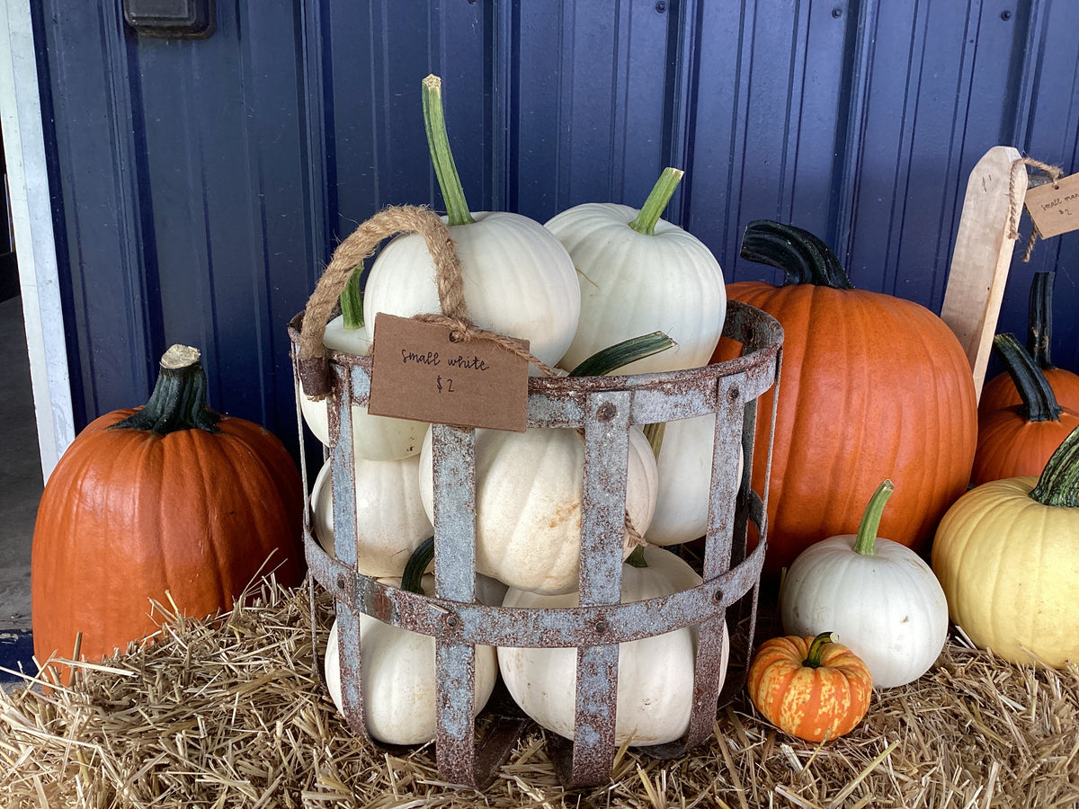 Pumpkins
