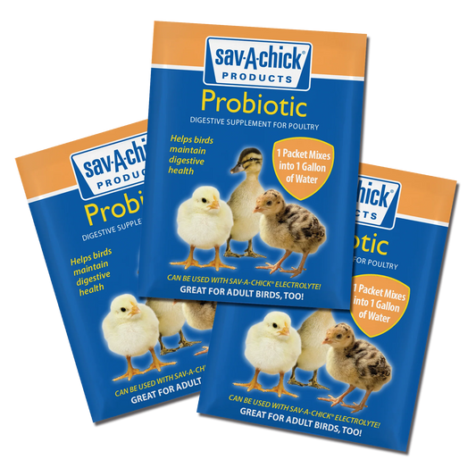 Sav-A-Chick Probiotic 3pk