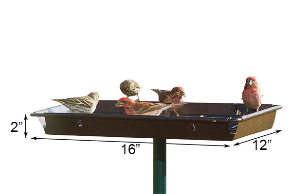 3-in-1 Platform Bird Feeder