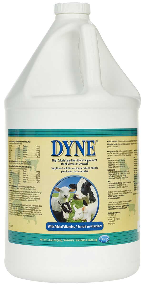 Dyne High Calorie Liquid for Livestock