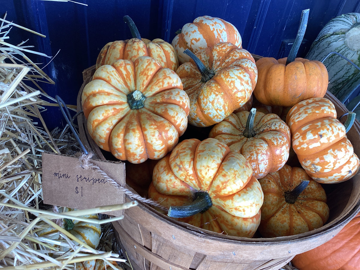Pumpkins