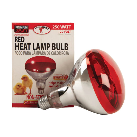 Red Heat Lamp Bulb 250W