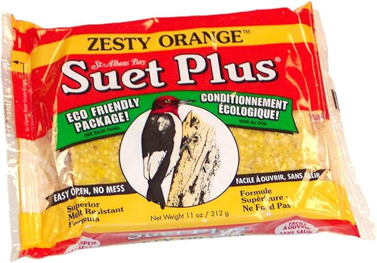 Zesty Orange Suet Plus Cake