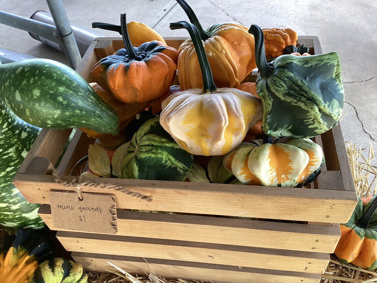 Pumpkins