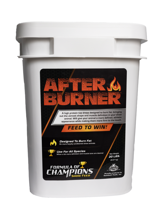 Afterburner® - 650FOCB