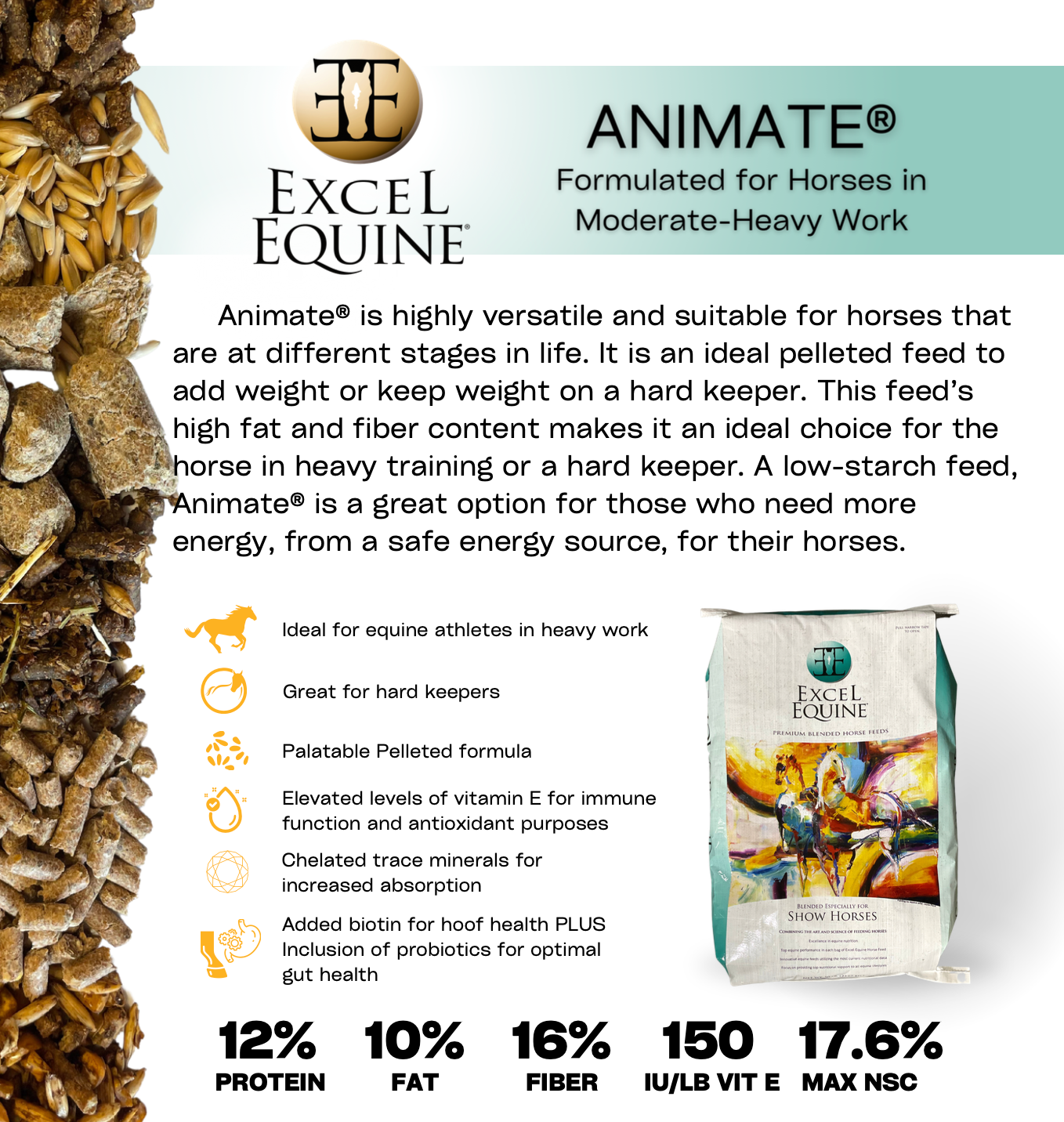 Excel Equine Animate