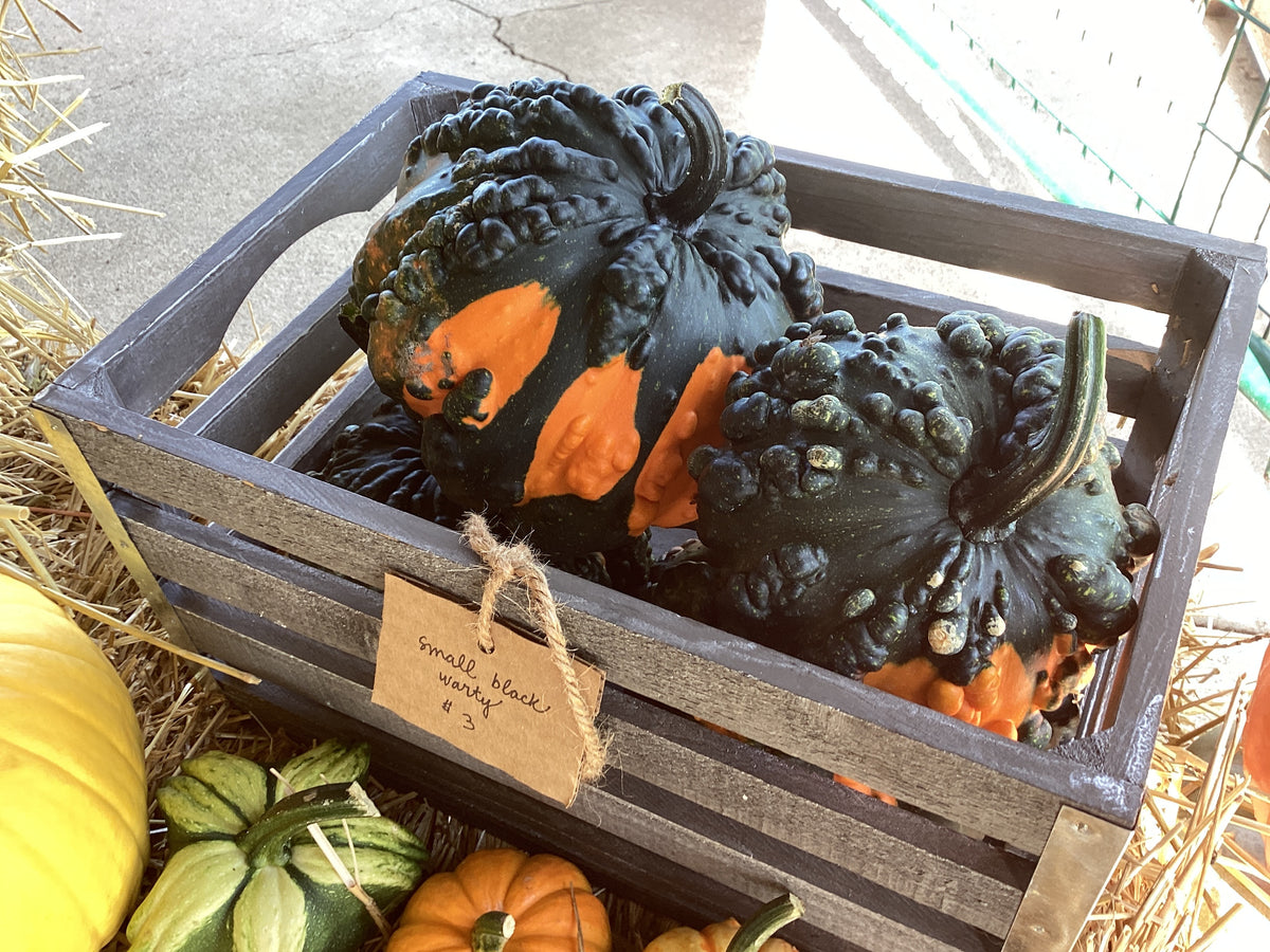 Pumpkins
