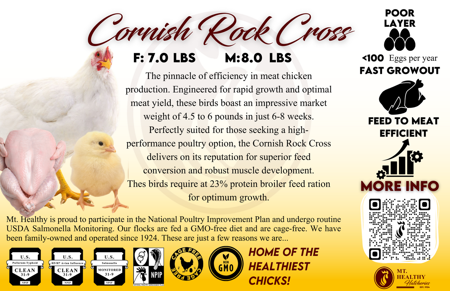 Live Chick Special Order