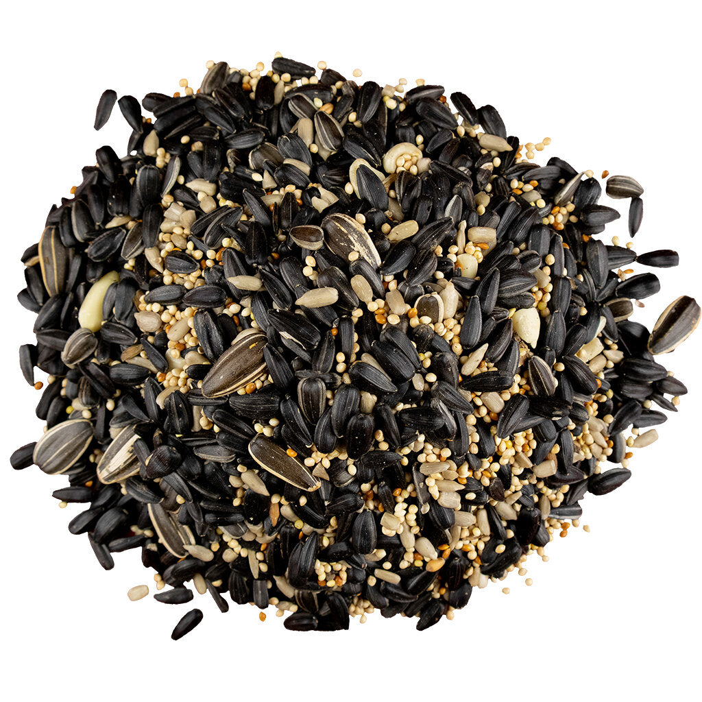Backyard Blend Bird Seed