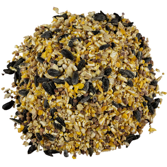 Everyday Economy Bird Seed