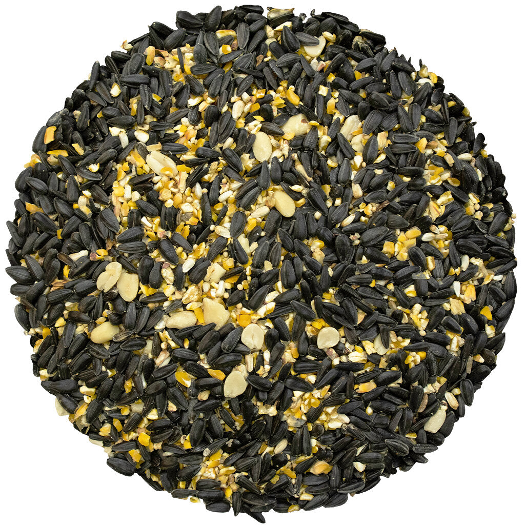 Year Round Favorite Bird Seed