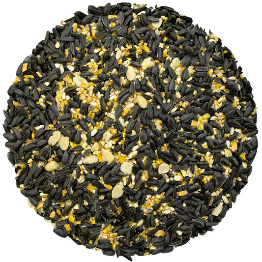 Year Round Favorite Bird Seed