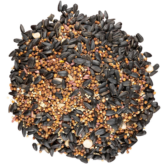 Cherry Treat Wild Bird Seed