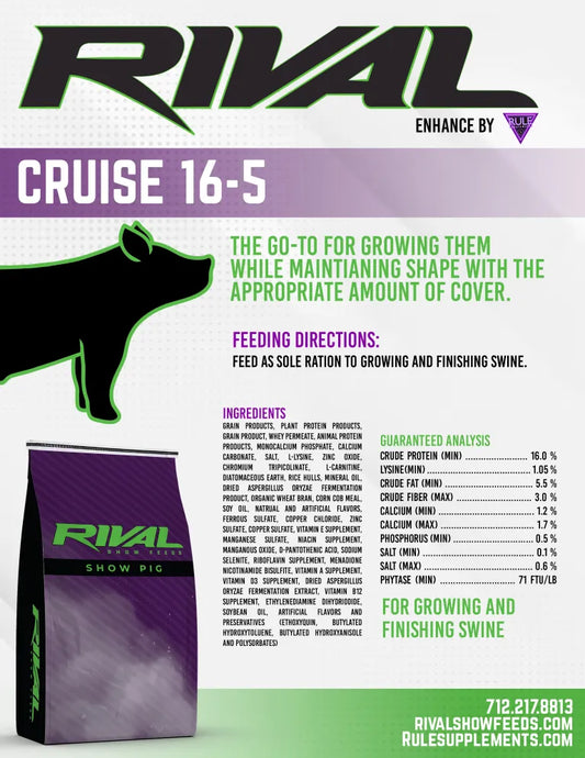 Rival Cruise 16-5 - 216RIVM