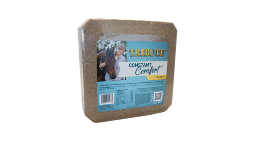 Constant Comfort® Supplement Block to Support Gut Health